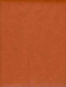 Еженедельник "Туксон". 2014 год. Светло-коричневый (72625931) Еженедельник "Туксон". 2014 год. Светло-коричневый (72625931)