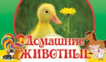 Домашние животные