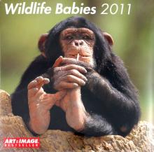 Календарь 2011 "Детеныши диких животных" (4434-2) Календарь 2011 "Детеныши диких животных" (4434-2)