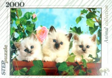 Step Puzzle-2000 "Котята с розой" (84018) Step Puzzle-2000 "Котята с розой" (84018)
