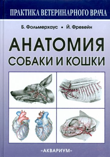 Амзельгрубер, Бёме, Фревейн - Анатомия собаки и кошки обложка книги Амзельгрубер, Бёме, Фревейн - Анатомия собаки и кошки обложка книги
