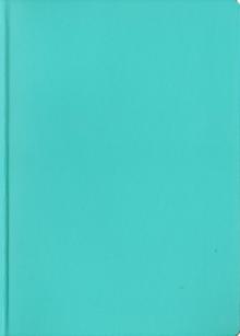 Ежедневник-2011 карманный (79104575) Ежедневник-2011 карманный (79104575)