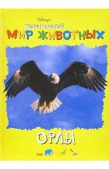 Удивительный мир животных: Орлы обложка книги Удивительный мир животных: Орлы обложка книги