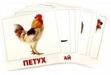 Набор карточек Домашние животные