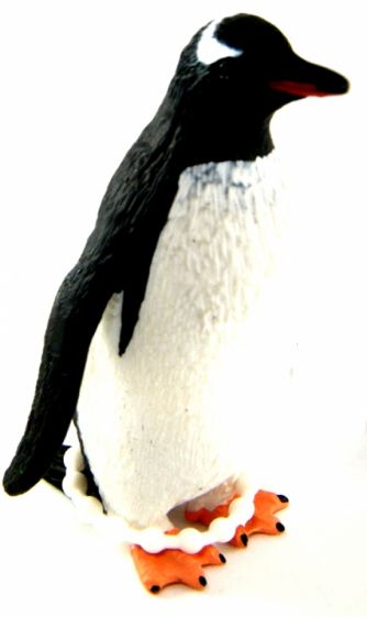 Пингвин Генту (Gentoo Penguin) (387184) Пингвин Генту (Gentoo Penguin) (387184)
