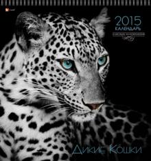 Календарь настенный на 2015 год "Дикие кошки" (КПКБ1502) Календарь настенный на 2015 год "Дикие кошки" (КПКБ1502)