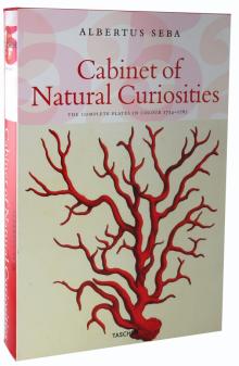 Musch, Rust, Willmann - Cabinet of Natural Curiosities обложка книги Musch, Rust, Willmann - Cabinet of Natural Curiosities обложка книги