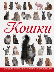 Дмитрий Смирнов - Кошки обложка книги Дмитрий Смирнов - Кошки обложка книги