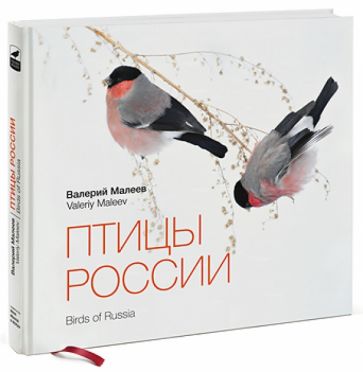 Валерий Малеев - Птицы России обложка книги Валерий Малеев - Птицы России обложка книги