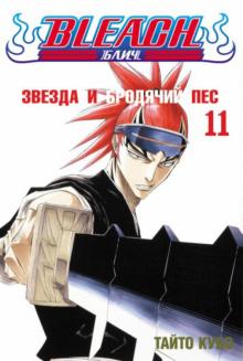 Bleach. Книга 11. Звезда и бродячий пес