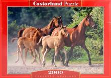 Puzzle-2000. "Лошади" (C-200313-NEW) Puzzle-2000. "Лошади" (C-200313-NEW)