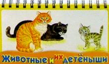 Животные и их детеныши обложка книги Животные и их детеныши обложка книги