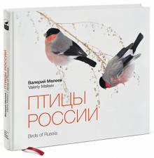 Валерий Малеев - Птицы России обложка книги Валерий Малеев - Птицы России обложка книги