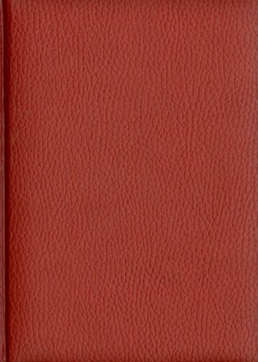 Ежедневник датированный "Даллас". 2014 год. Красный (72345411) Ежедневник датированный "Даллас". 2014 год. Красный (72345411)