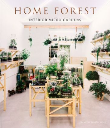 Home Forest. Micro Gardens at Home