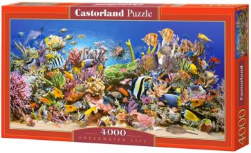 Puzzle-4000 "Подводный мир" (С-400089) Puzzle-4000 "Подводный мир" (С-400089)
