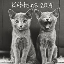 Календарь на 2014 год "Котята" (7-6207) Календарь на 2014 год "Котята" (7-6207)
