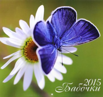 Календарь 2015. Бабочки (12 листов) Календарь 2015. Бабочки (12 листов)