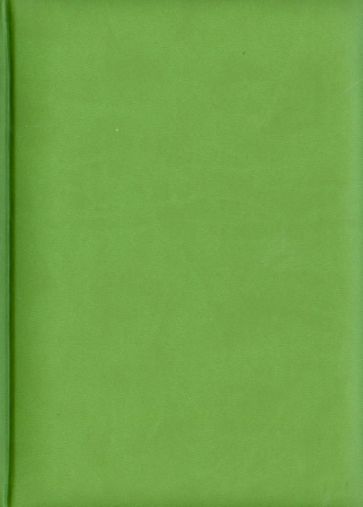 Ежедневник датированный "Туксон". 2014 год. Светло-зеленый (72325927) Ежедневник датированный "Туксон". 2014 год. Светло-зеленый (72325927)