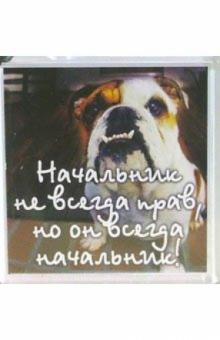 Магнитные подарочки. Начальник не всегда прав, но он всегда начальник! Магнитные подарочки. Начальник не всегда прав, но он всегда начальник!