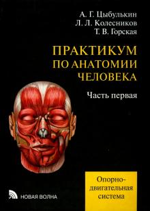 Цыбулькин, Горская, Колесников - Практикум по анатомии человека. В 4-х частях. Часть 1. Опорно-двигательная система обложка книги Цыбулькин, Горская, Колесников - Практикум по анатомии человека. В 4-х частях. Часть 1. Опорно-двигательная система обложка книги
