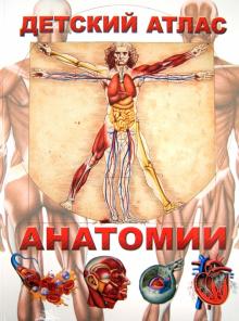 Детский атлас анатомии
