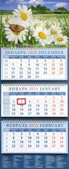 Календарь квартальный на 2021 год "Пейзаж с ромашками и бабочкой" (14147)