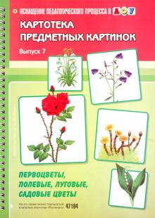 Наталия Нищева - Картотека предметных картинок. Выпуск 7. Первоцветы, полевые, луговые, садовые цветы обложка книги Наталия Нищева - Картотека предметных картинок. Выпуск 7. Первоцветы, полевые, луговые, садовые цветы обложка книги