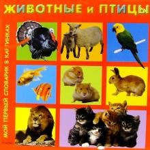 Животные и птицы обложка книги Животные и птицы обложка книги