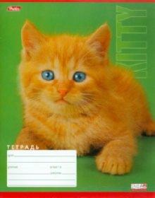Тетрадь 24 листа, клетка "Котята" (24Т5С1) Тетрадь 24 листа, клетка "Котята" (24Т5С1)
