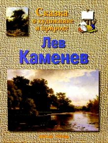 Марина Улыбышева - Каменев обложка книги Марина Улыбышева - Каменев обложка книги
