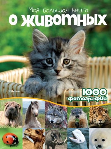 Наталья Куйе - Моя большая книга о животных. 1000 фотографий обложка книги Наталья Куйе - Моя большая книга о животных. 1000 фотографий обложка книги