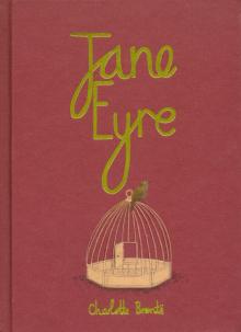Charlotte Bronte - Jane Eyre обложка книги Charlotte Bronte - Jane Eyre обложка книги