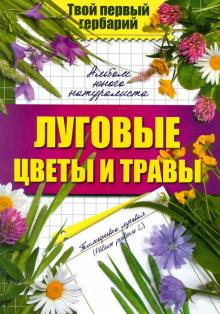 Луговые цветы и травы обложка книги Луговые цветы и травы обложка книги