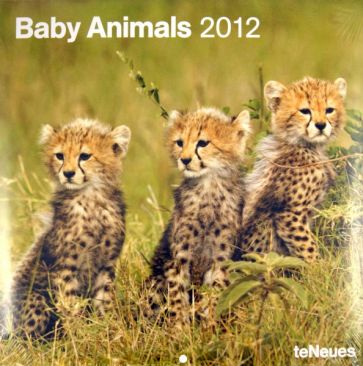 Календарь на 2012 год "Детеныши животных" (5093-0) Календарь на 2012 год "Детеныши животных" (5093-0)