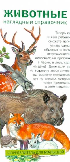 Животные. Определитель для малышей обложка книги Животные. Определитель для малышей обложка книги