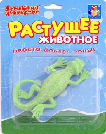 Домашний инкубатор. Ящерицы, ассортимент (Т53561) Домашний инкубатор. Ящерицы, ассортимент (Т53561)