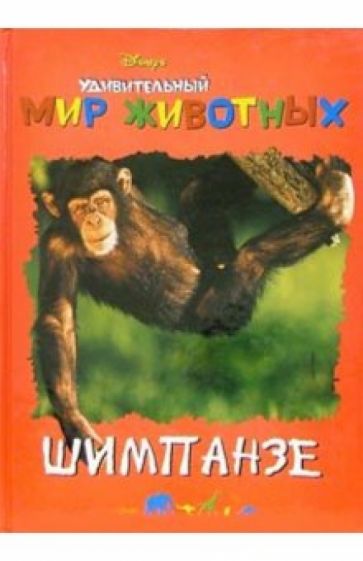 Удивительный мир животных: Шимпанзе обложка книги Удивительный мир животных: Шимпанзе обложка книги
