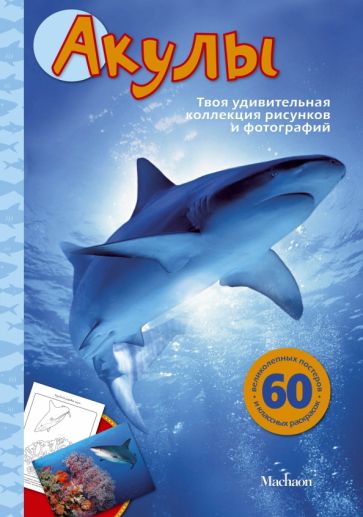 Эмма Сэл - Акулы обложка книги Эмма Сэл - Акулы обложка книги