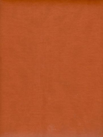 Еженедельник "Туксон". 2014 год. Светло-коричневый (72625931) Еженедельник "Туксон". 2014 год. Светло-коричневый (72625931)