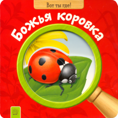 Вот ты где! Божья коровка Вот ты где! Божья коровка обложка книги