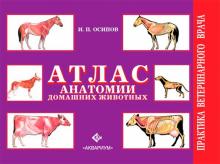 Иван Осипов - Атлас анатомии домашних животных обложка книги Иван Осипов - Атлас анатомии домашних животных обложка книги