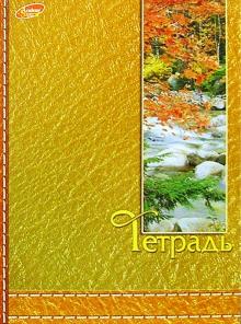Тетрадь 80л. Евросп. 2196-2199 (Кожа-природа) Тетрадь 80л. Евросп. 2196-2199 (Кожа-природа)