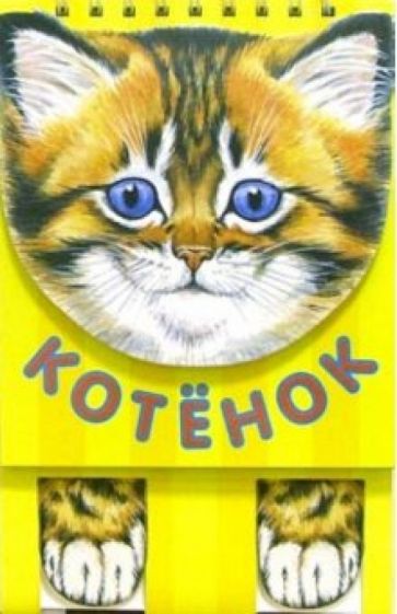 Котенок обложка книги Котенок обложка книги