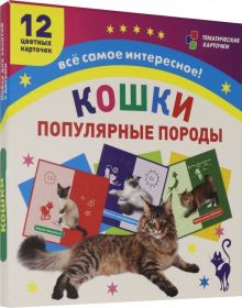 Самые популярные породы кошек. 12 цветных карточек. ФГОС. ФГОС ДО