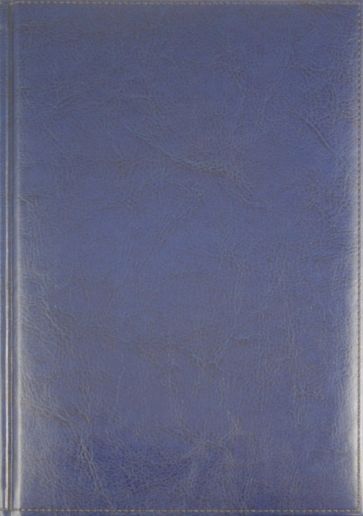 Ежедневник-2012, синий лакированный (723106248) Ежедневник-2012, синий лакированный (723106248)