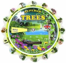 Тематический словарь "Trees. Деревья" обложка книги Тематический словарь "Trees. Деревья" обложка книги