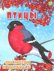 Птицы. Детская раскраска обложка книги Птицы. Детская раскраска обложка книги