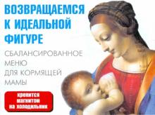 Возвращаемся к идеальной фигуре. Сбалансированное меню для кормящей мамы обложка книги Возвращаемся к идеальной фигуре. Сбалансированное меню для кормящей мамы обложка книги