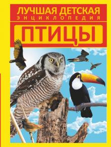 Птицы